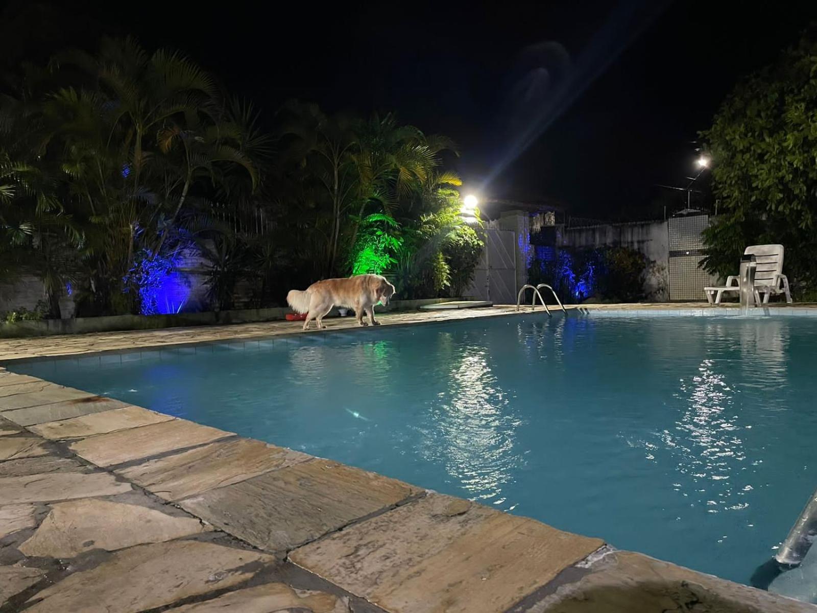 A Bela Casa Da Ilha, Na Ilha De Vera Cruz, Coroa, 300m Da Praia! Holiday home Salvador